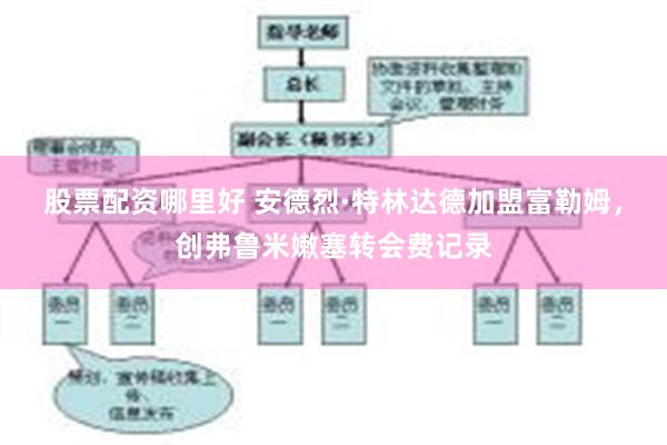 股票配资哪里好 安德烈·特林达德加盟富勒姆，创弗鲁米嫩塞转会费记录