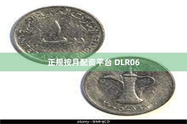 正规按月配资平台 DLR06