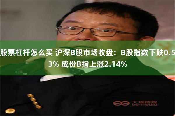 股票杠杆怎么买 沪深B股市场收盘：B股指数下跌0.53% 成份B指上涨2.14%