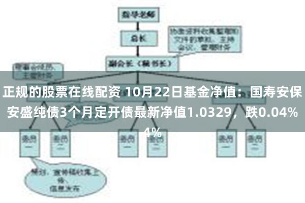 正规的股票在线配资 10月22日基金净值：国寿安保安盛纯债3个月定开债最新净值1.0329，跌0.04%