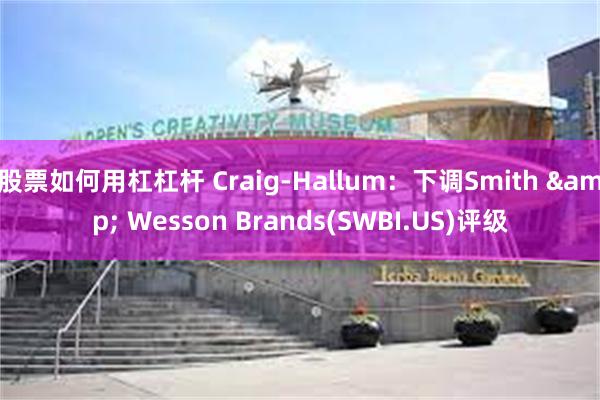 股票如何用杠杠杆 Craig-Hallum：下调Smith & Wesson Brands(SWBI.US)评级