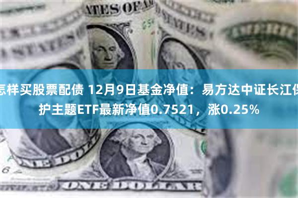 怎样买股票配债 12月9日基金净值：易方达中证长江保护主题ETF最新净值0.7521，涨0.25%