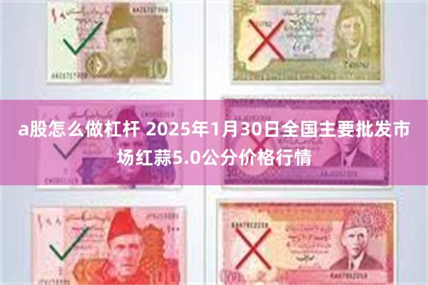 a股怎么做杠杆 2025年1月30日全国主要批发市场红蒜5.0公分价格行情