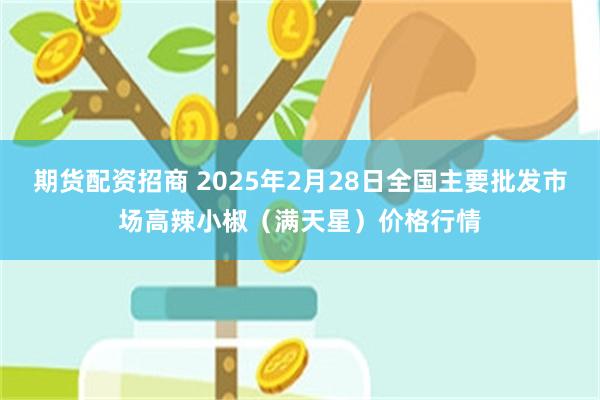 期货配资招商 2025年2月28日全国主要批发市场高辣小椒（满天星）价格行情